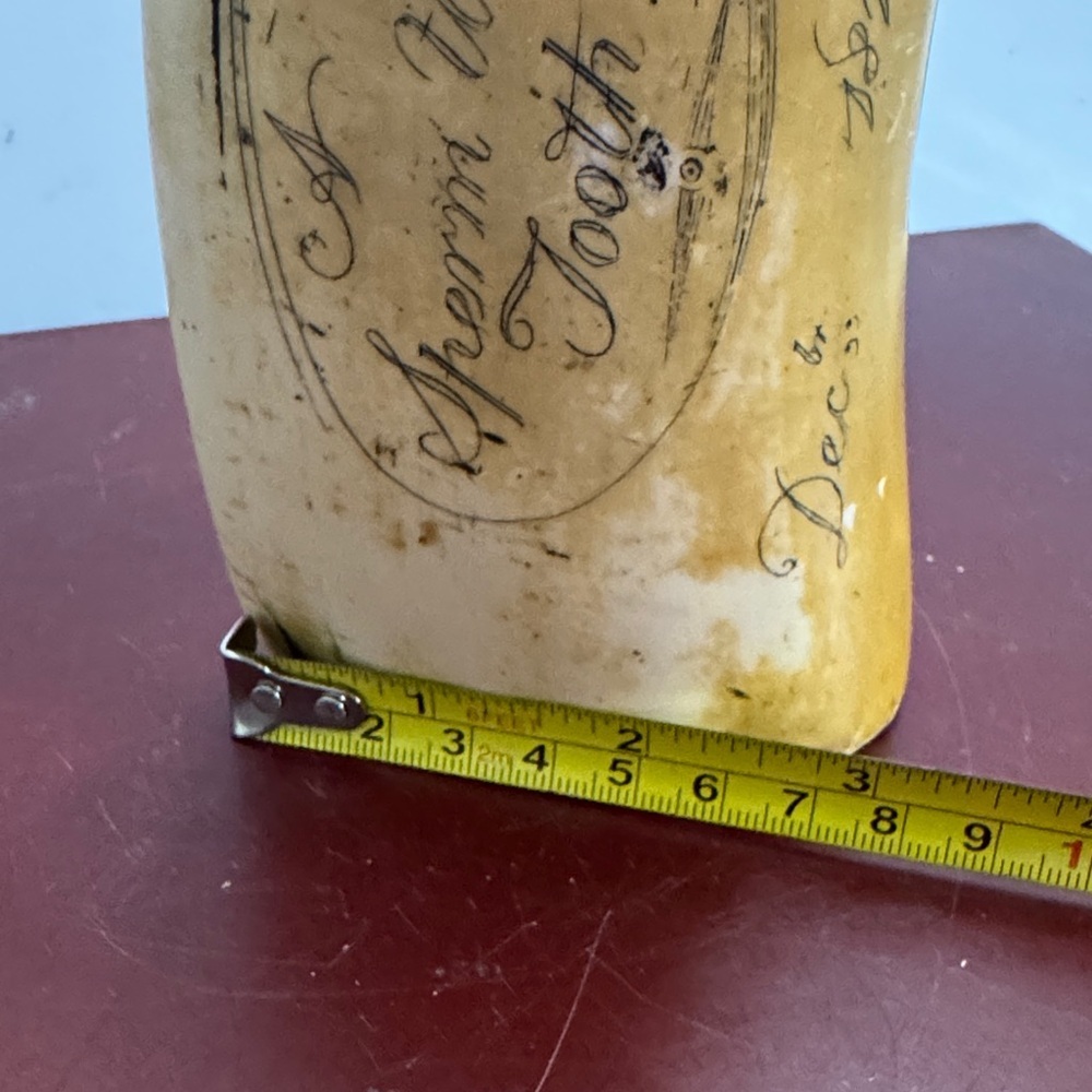 SCRIMSHAW REPLICA RESIN SPERM WHALE TOOTH SHOAL OF WHALES ARTEK MS ANCHOR LOGO - Picture 14 of 14